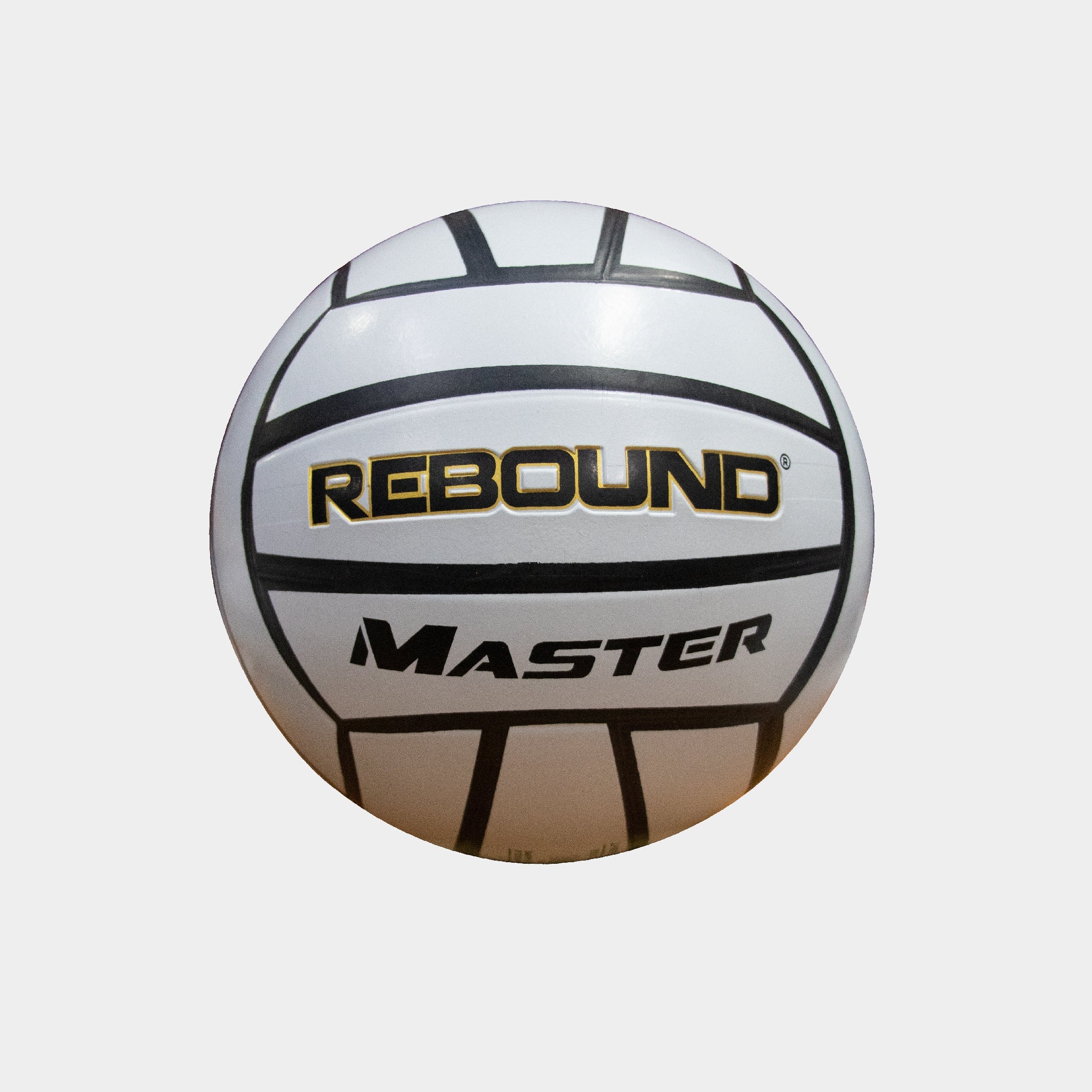 Rebound MASTER Volleyball