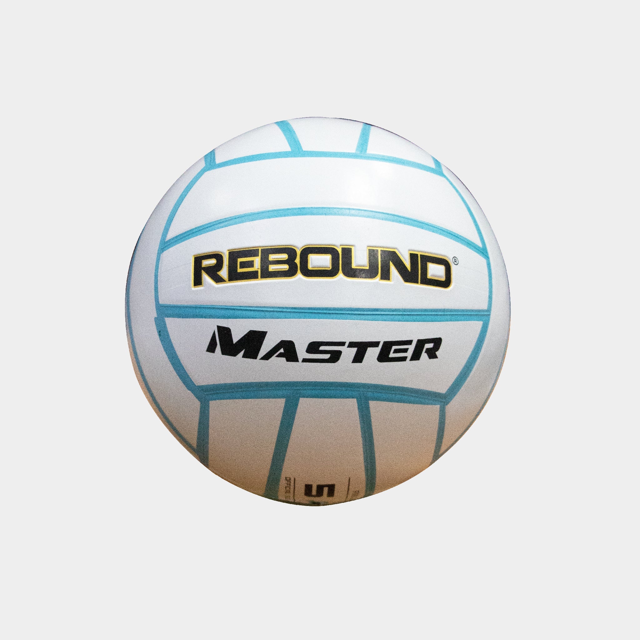 Rebound MASTER Volleyball