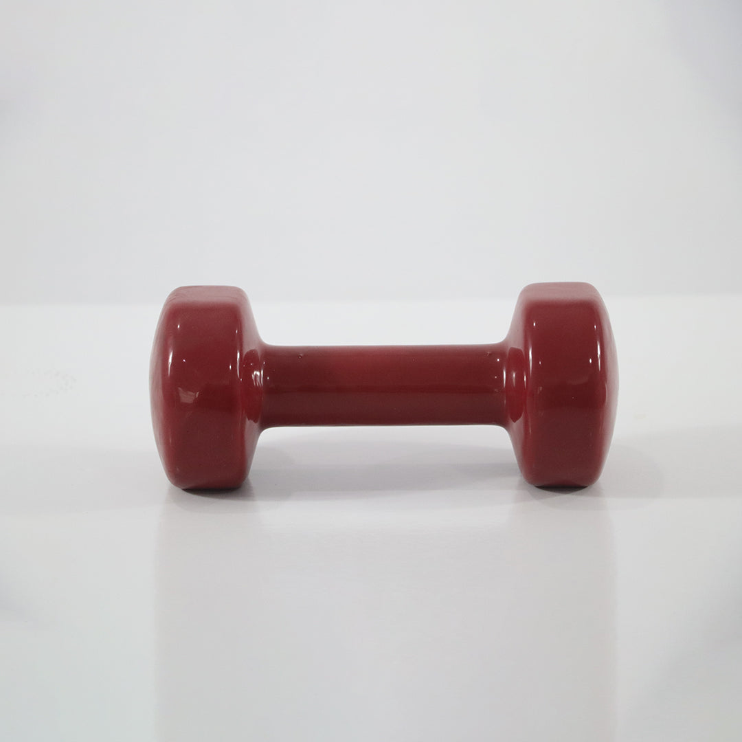 Athletico Vinyl Dumbbell