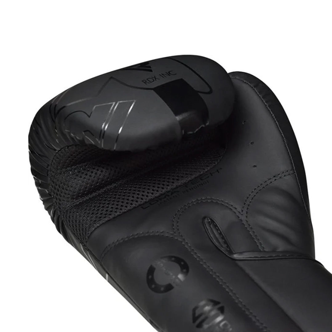 RDX F6 Kara Boxing Training Gloves BGR-F6MB